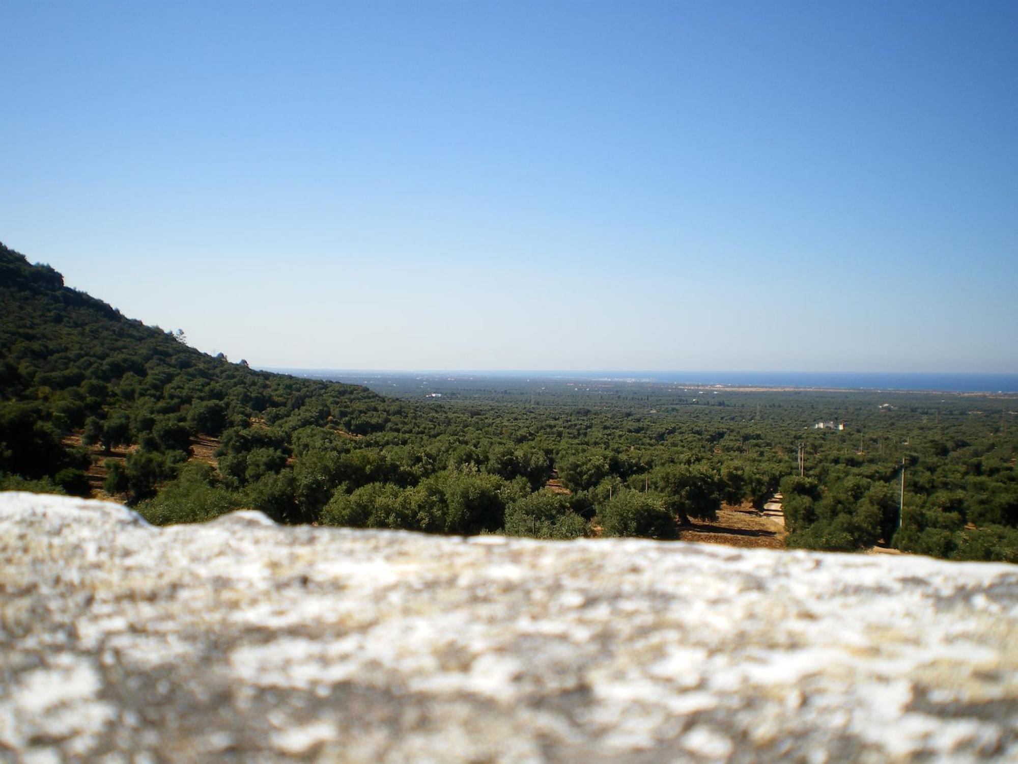 Masseria Morrone Ostuni Luaran gambar