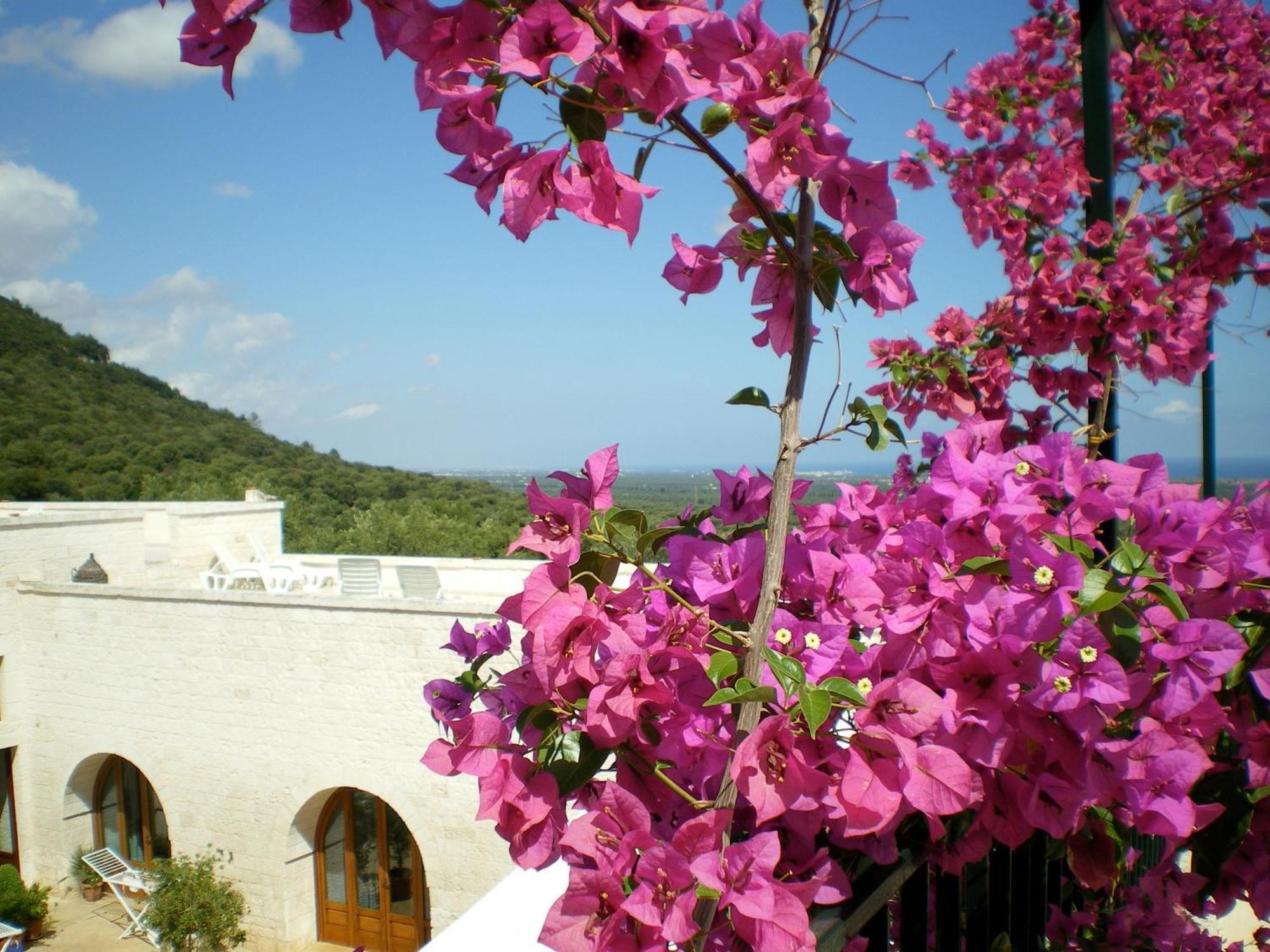 Masseria Morrone Ostuni Luaran gambar