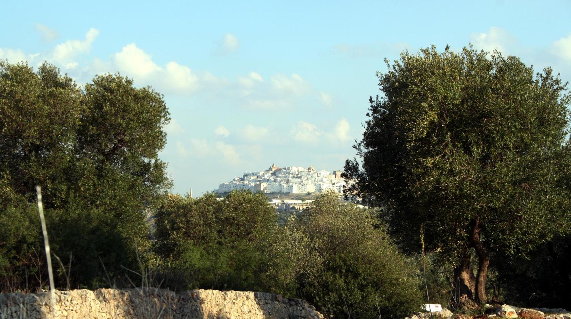 Masseria Morrone Ostuni Luaran gambar