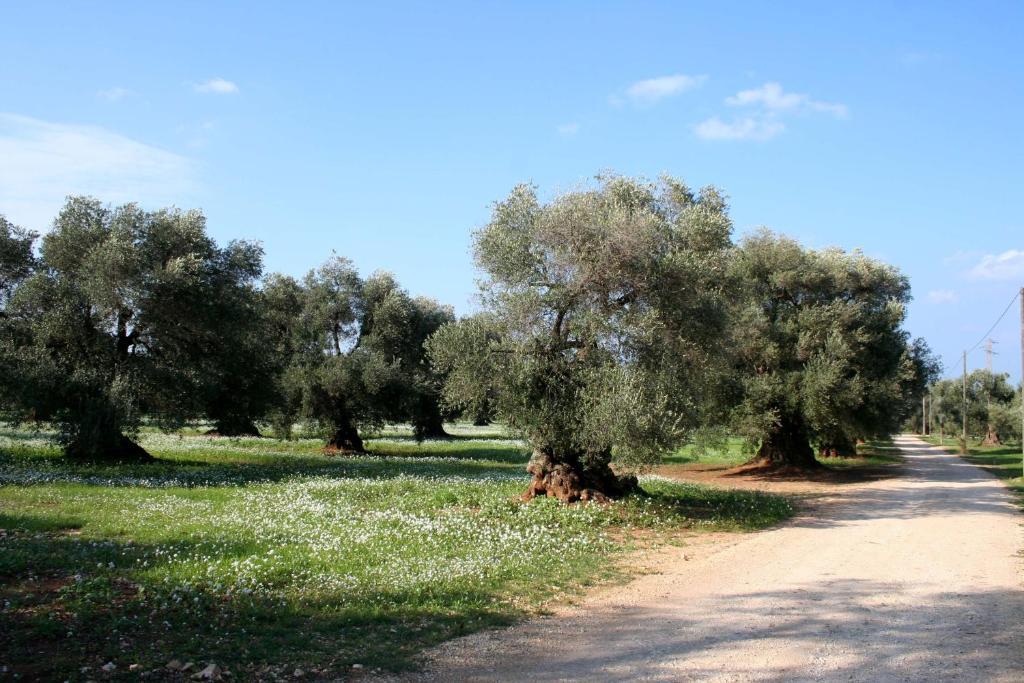 Masseria Morrone Ostuni Bilik gambar